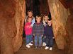 Some hobbits found in nearby Muir Woods