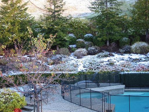 Snow in Danville!